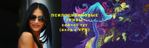 гашик Абинск