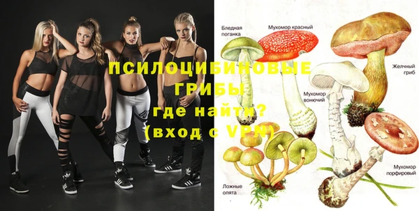 крисы Абаза