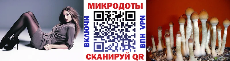 Псилоцибиновые грибы прущие грибы  Ирбит 